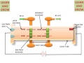 Two Cavity Klystron Amplifier Animation