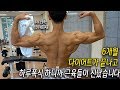 대회가 끝난뒤에도 다시 식단?!...목표를 이룬 운동하는직장인의 새로운 목표?!출근전VLOG-운지기헬스TV