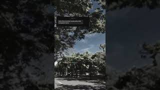 Download lagu Story wa peka mp3