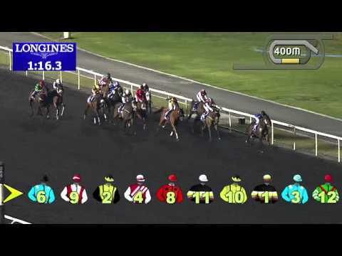 21.11.2013 Meydan (Dubai-UAE) 4.Race DUBAL High Purity Ingot Trophy - Handicap 1.600 m