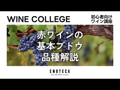 , title : '【ワイン講座】赤ワインの基本ブドウ品種解説'
