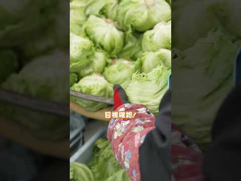 コーヒーかすをサラダに使えますか?レタスにはどんなメリットがあるのでしょうか？  庭園