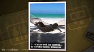 preview picture of video 'Loving Paje beach Anneowens's photos around Zanzibar, Tanzania (zanzibar lonely planet paje)'