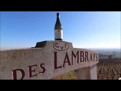 Sensation Vin - Cours Sensation Grands Crus