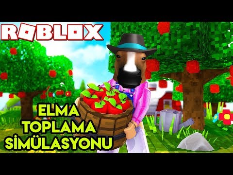 🍎 Elma Toplama Simülasyonu 🍎 | Apple Picking Simulator | Roblox Türkçe