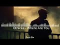 Peaky Blinders Ringtone Otnicka Where Are You Background Music Dream Trax