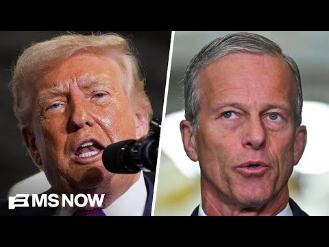 'Completely dividing Republicans': Trump and Senate GOP clash over SAVE Act