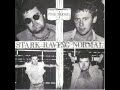 The Blood - Stark Raving Normal(full Single 1983)
