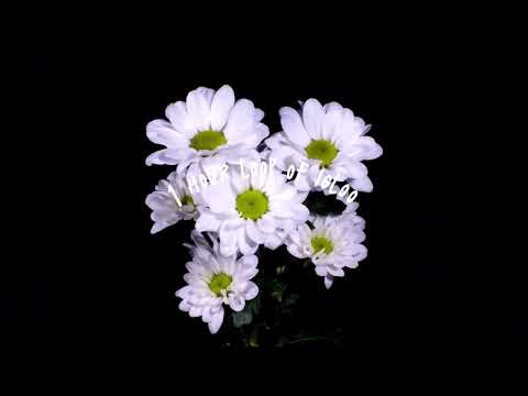 1 hour of igloo by Karen O