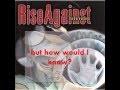 [Lyrics] Rise Against - Great Awakening