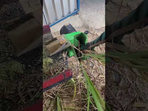 Triturador de capim TRF 400F Trapp | Se Souber trabalhar com ele Faz muita coisa #jardelnocampo