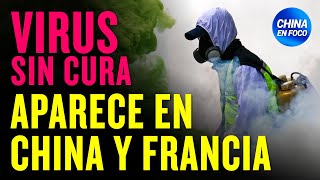 Virus sin cura aparece en China y Francia: Declaran emergencia