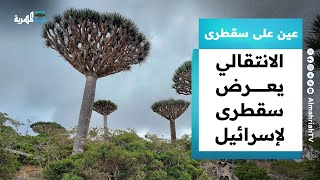 الانتقالي يعرض سقطرى على إسرائيل مقابل الحصول على شرعية دولية | عين على سقطرى