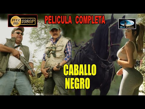 , title : '🎥 CABALLO NEGRO - Pelicula Completa en español | OLA STUDIOS TV 🎬'