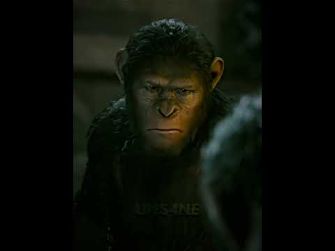Koba weaker! | Dawn of the Planet of the Apes edit #kingdomoftheplanetoftheapes #planetoftheapes