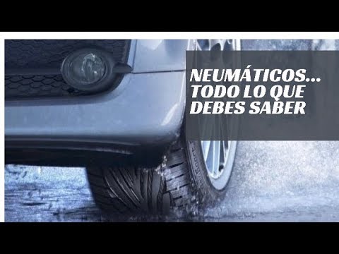 Todo lo que debes saber sobre NEUMÁTICOS