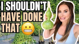 Clean My Garden + Gourd & Pumpkin Harvest