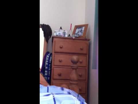 Lola chuff late bid for London 2012