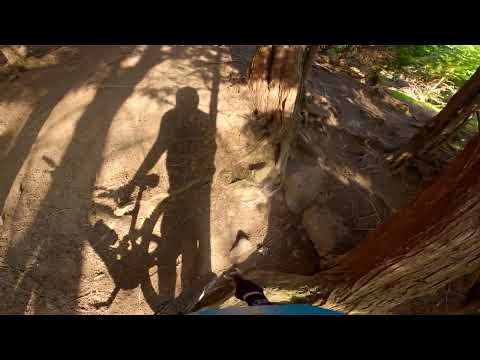 #RAW Les 1, 2 + 3 Sunny Guisborough Woods