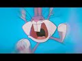 Cayo Banks Late Slowed Reverb