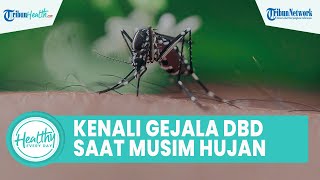 Memasuki Musim Hujan Banyak Penyakit yang Muncul seperti DBD, Kenali Gejala pada Anak sejak Dini