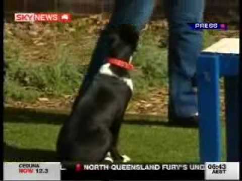 SKY News 28092009 - Buckley
