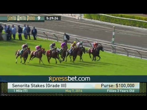 Senorita Stakes (Gr. III) - Saturday, May 7, 2016  HD