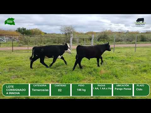 Video del lote L0-000839