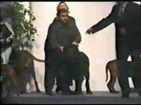 download lagu mp3 mp4 Carnera Della Grotta Azzurra, download lagu Carnera Della Grotta Azzurra gratis, unduh video klip Carnera Della Grotta Azzurra