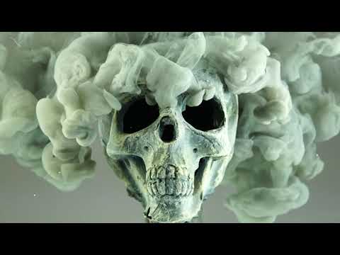 REIMI - VIEL ZU LANGE HER ( OFFIZIELLES LYRIC VIDEO )