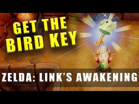 The Legend of Zelda Link's Awakening Switch Bird Key - How to get the Bird Key