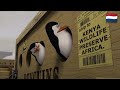 Madagascar Ship To Kenya Dutch