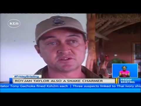 Nyeri snake man teaching locals about handling snakes (Guest anchor)