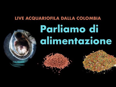 , title : 'Live Acquariofila: Parliamo di Alimentazione'