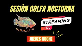 ¡Firemouth Aquaristic está emitiendo una sesión "Golfa" en directo!