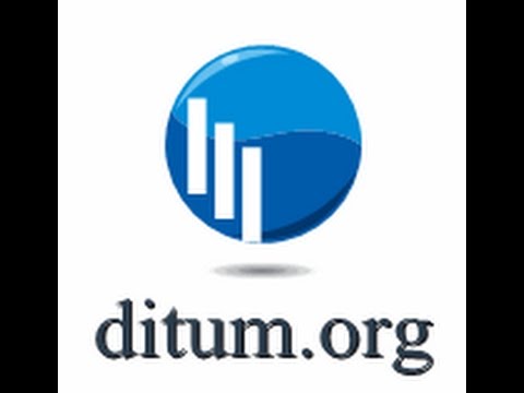 Opis usług firmy Ditum.org
Więcej informacji na https://ditum.org/