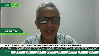 Miniatura do vídeo