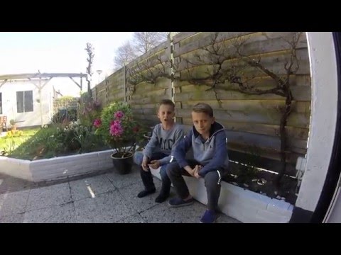 SC Welberg E1 en Halsteren/Stavenisse/Myra Ceti