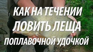 Секреты ловли на поплавочную удочку леща