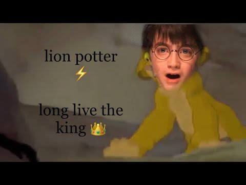 long live the king - harry potter x lion king