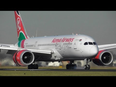 Plane Spotting at Amsterdam Schiphol Airport | Close up landings - Polderbaan