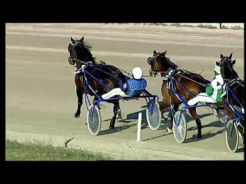 Napoli Trotto 25/01/2022 - 5ª corsa