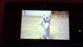 Nintendogs + Cats : All Tricks