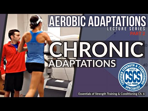 Adaptations to Aerobic Training | CSCS Chapter 6 thumbnail