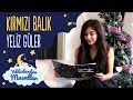 Kırmızı Balık Türkçe Masal : Yeliz GÜLER | Yıldızlardan Sesli Masallar Kırmızı Balık Türkçe Masal : Yeliz GÜLER | Yıldızlardan Sesli Masallar
