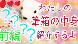 【持ち物】ゆるめにわたしの筆箱の中身を紹介するよ〜ん！！！