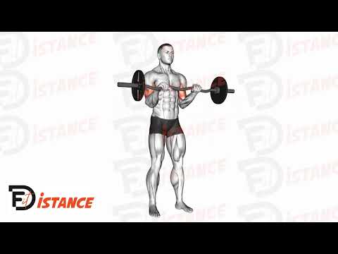 Exercice Curls avec barre EZ en prise inversée