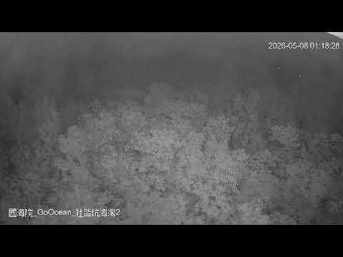 社皆坑海灣即時影像