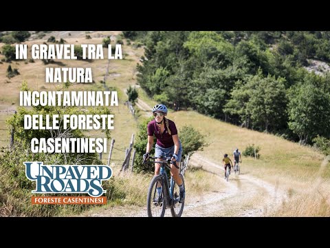 Scopri la magia del gravel nella foresta più bella d’Italia