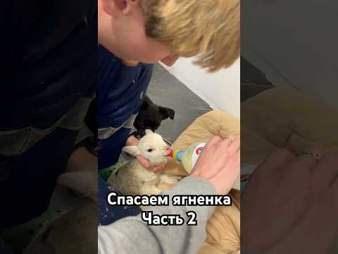 Мы решили ее назвать Катюша В телеграмме кружочки про нее выкладываем, ссылка в шапке профиля.